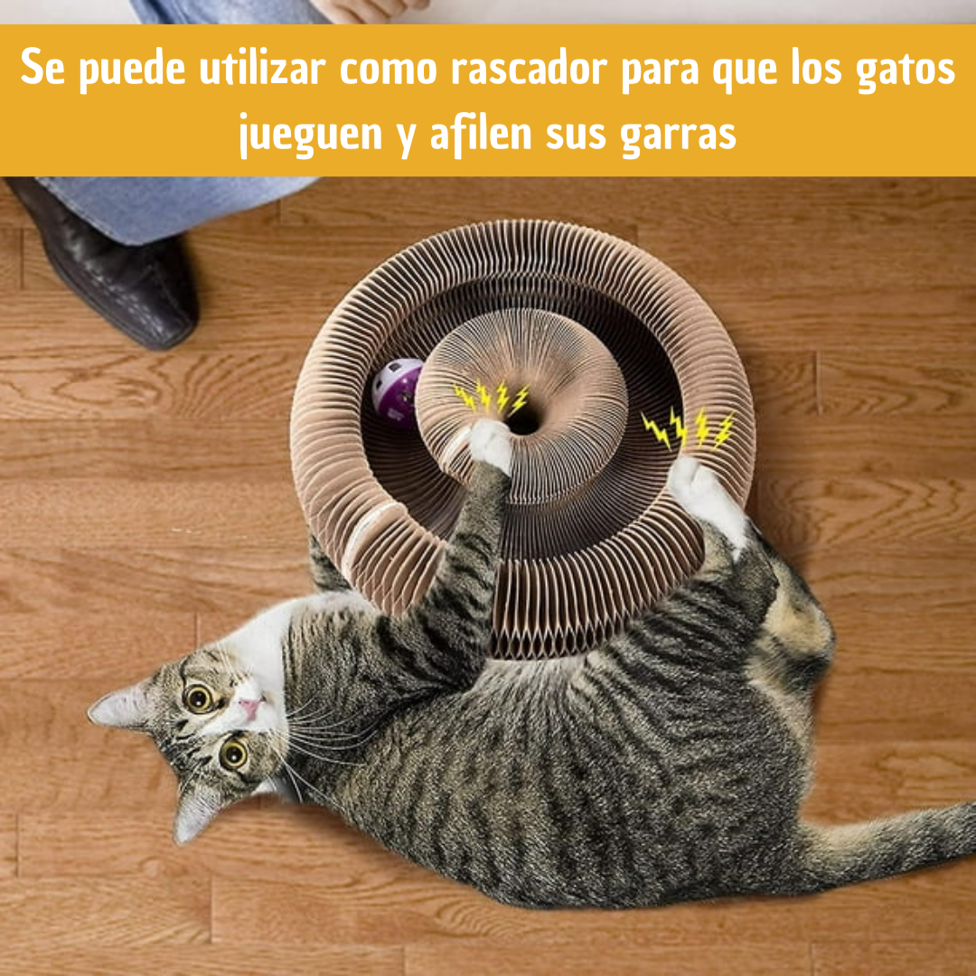 Tablas Rascadoras 3 en 1 para Gatos
