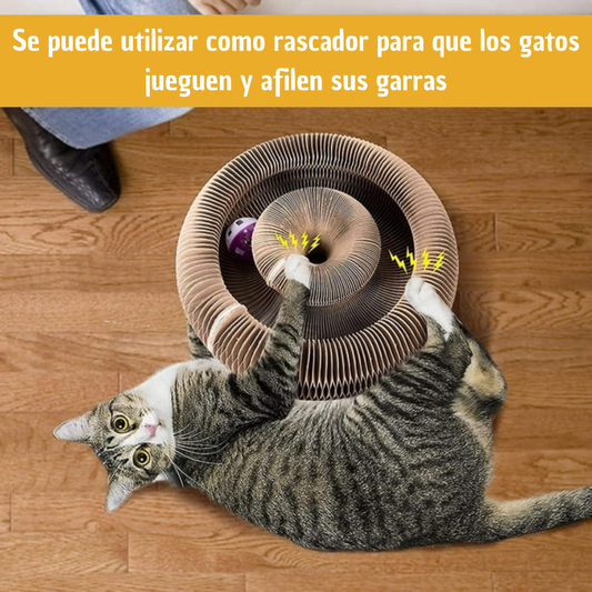 Tablas Rascadoras 3 en 1 para Gatos