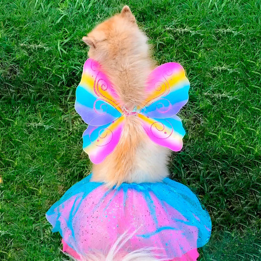 🦋✨ Disfraz de Mariposa para Perros – Especial Halloween 🎃